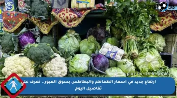 ارتفاع جديد في أسعار الطماطم والبطاطس بسوق العبور.. تعرف على تفاصيل اليوم